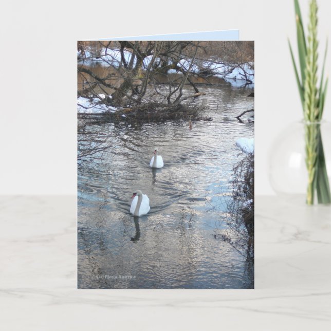 Carte Swans II (Devant)