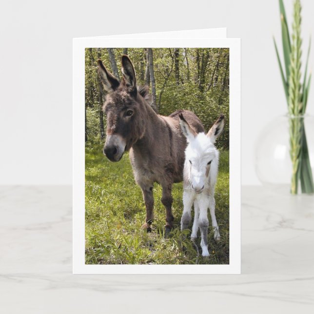 Carte Swee'pea (Devant)