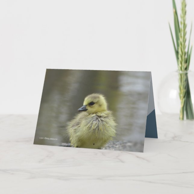 Carte Sweet Baby (Devant)