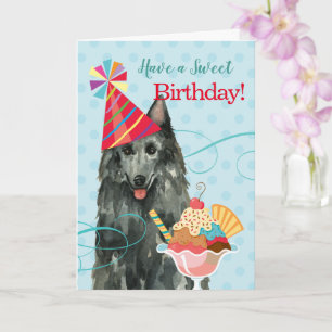 Carte Sweet Birthday Belge Sheepdog