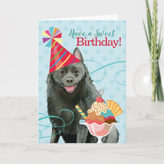 Carte Sweet Birthday Schipperke (Devant)