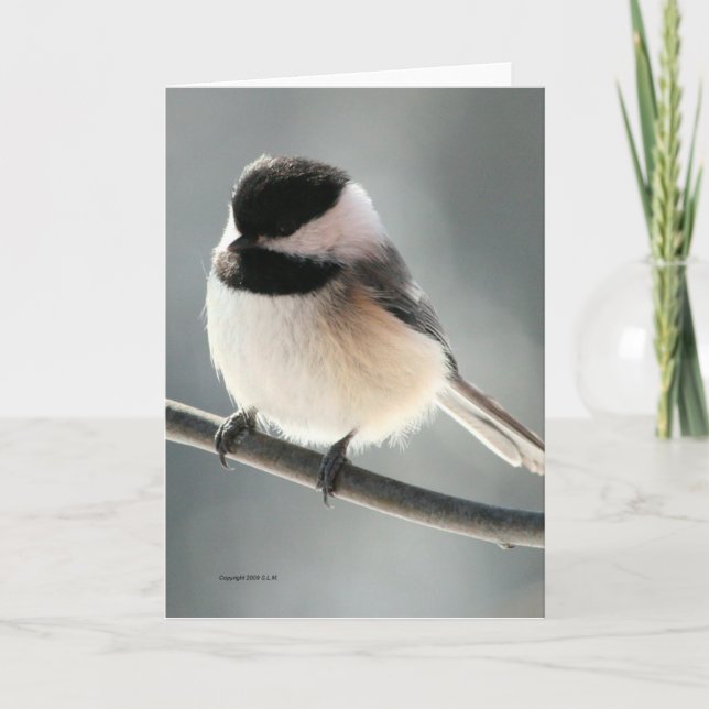 Carte Sweet Chickadee (Devant)