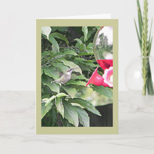 Carte Sweet Humming Bird Anniversaire Souhait