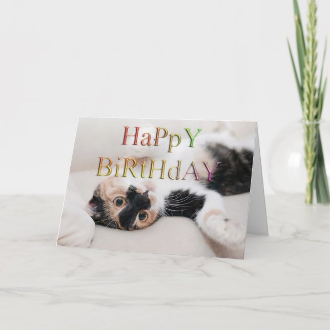 Carte Sweet kitty joyeux anniversaire (Devant)