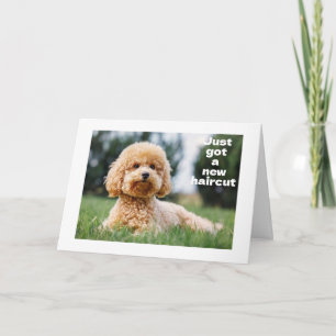 Carte SWEET TEDDY BEAR écrit "HEUREUX "60ème anniversair