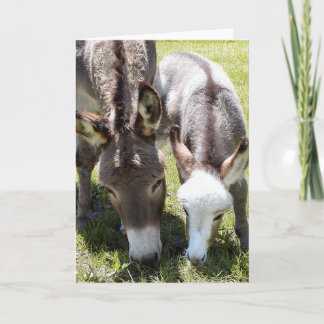 Carte Sylvia et Mr. T