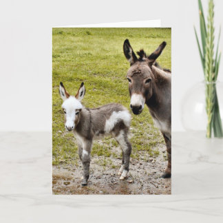 Carte Sylvia et Mr. T