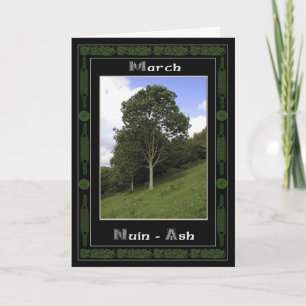 Carte Symboles de l'arbre d'anniversaire celtique de mar