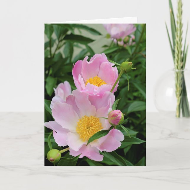 Carte Sympathie (Devant)