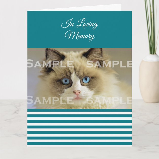 Carte Sympathie animal de compagnie perte photo bleu bla (Devant)
