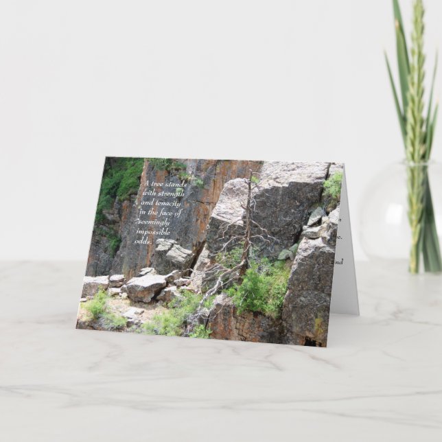 Carte Sympathie : Arbre noir de canyon (Devant)