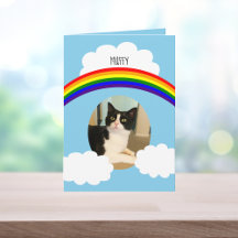 Sympathie avec la photo arc-en-ciel d'un chat d'an