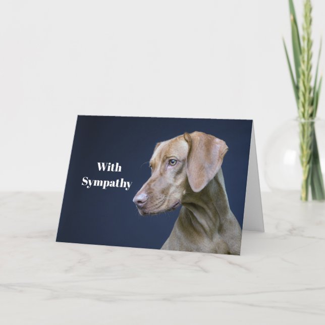 Carte Sympathie avec la photo de Chien Brown de Vizsla (Devant)