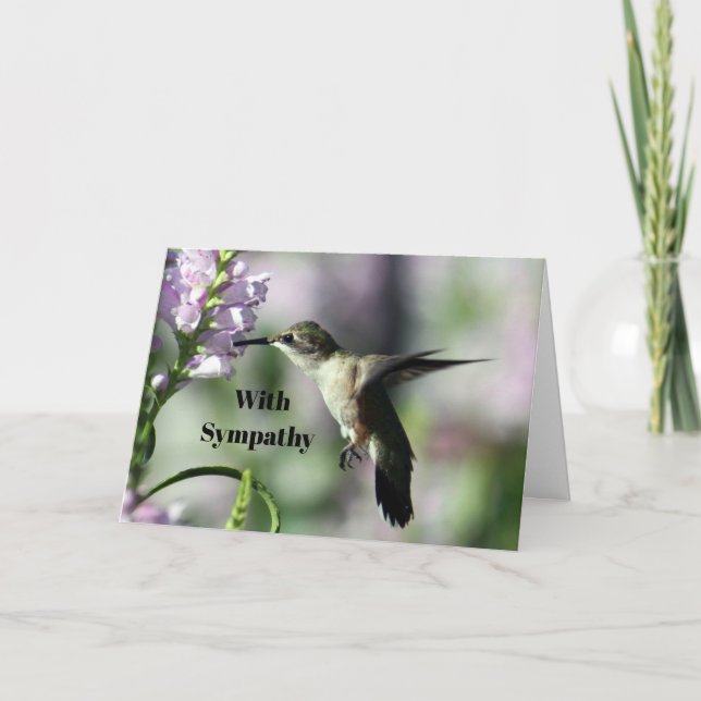 Carte Sympathie avec la photo de la faune rose de colibr (Devant)