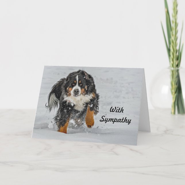 Carte Sympathie avec la photo de neige du chien de monta (Devant)