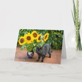 Carte Sympathie avec le chat avec les tournesols