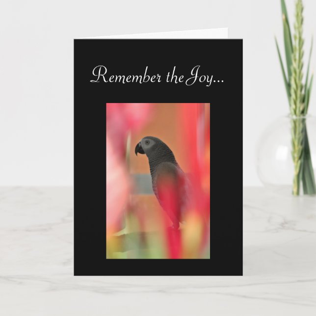 Carte Sympathie avec les animaux de compagnie gris d'Afr (Devant)