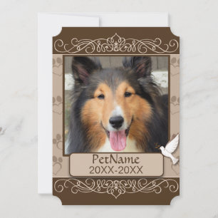 Carte Sympathie Brown avec le calligraphe