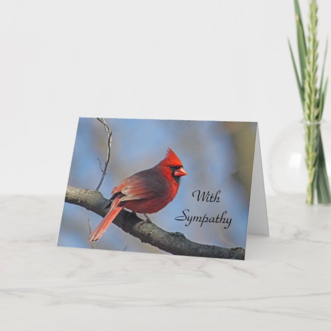 Carte Sympathie cardinale des oiseaux chanteurs rouges (Devant)