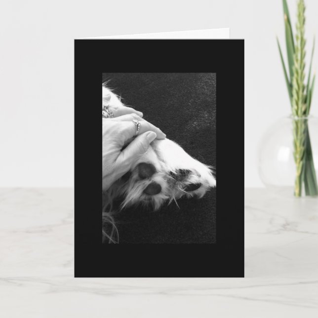 Carte Sympathie d'animal familier (Devant)