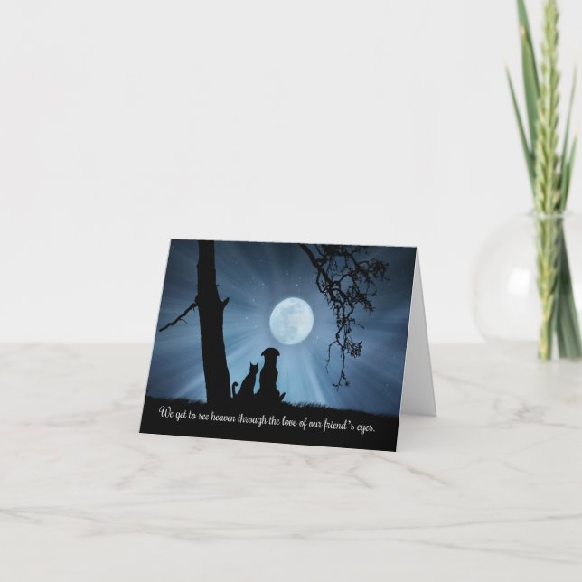 Carte Sympathie d'animal familier de chien et de chat, (Devant)