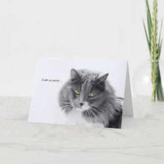 Carte Sympathie de chat minimaliste