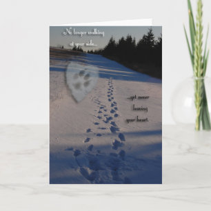 Carte Sympathie de chien