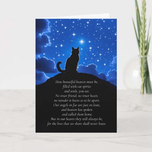 Carte Sympathie de la perte de chats avec le chat regard (Devant)