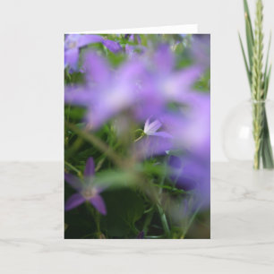Carte Sympathie de la photographie florale pourpre flou