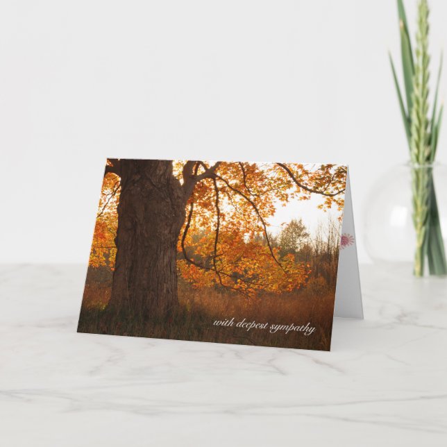 Carte sympathie de l'automne (Devant)