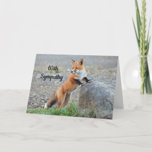 Carte Sympathie de Red Fox (Devant)