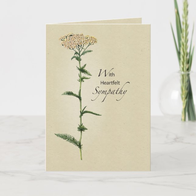 Carte Sympathie des grandes fleurs (Devant)