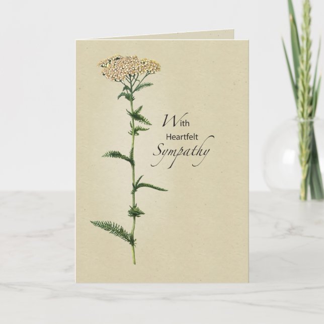 Carte Sympathie des grandes fleurs (Devant)
