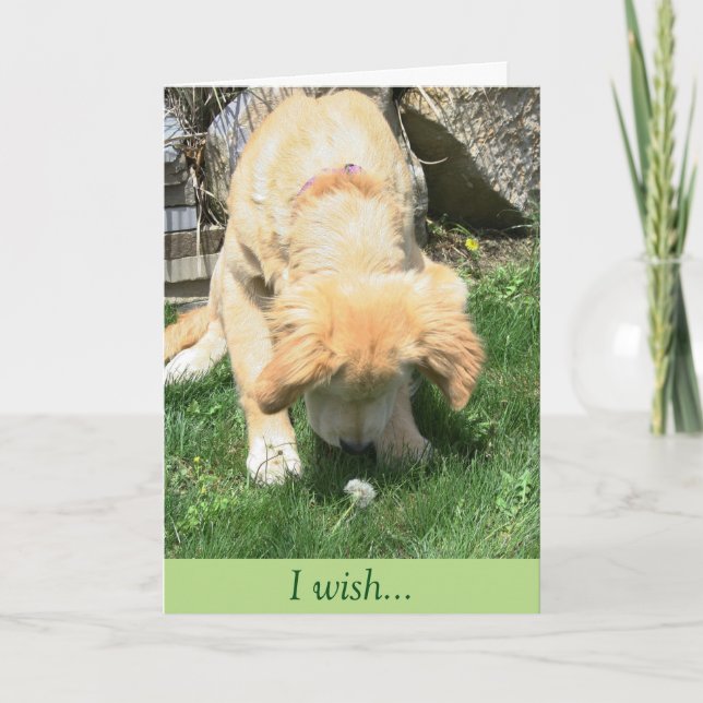 Carte Sympathie d'or de souhait de pissenlit (Devant)