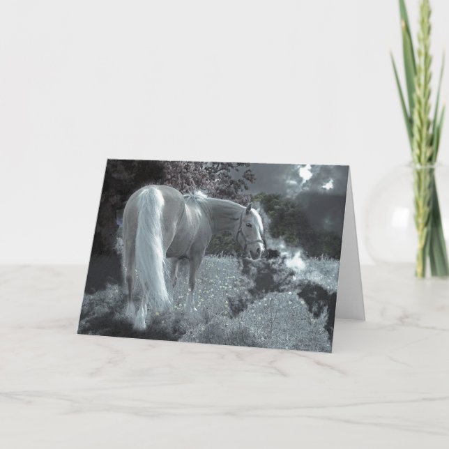 Carte Sympathie du cheval (Devant)