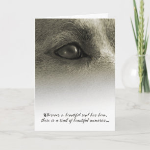 Carte Sympathie du chien partout où une belle âme a été