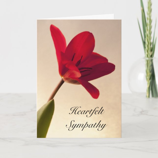 Carte Sympathie élégante de la tulipe rouge (Devant)