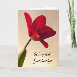 Carte Sympathie élégante de la tulipe rouge