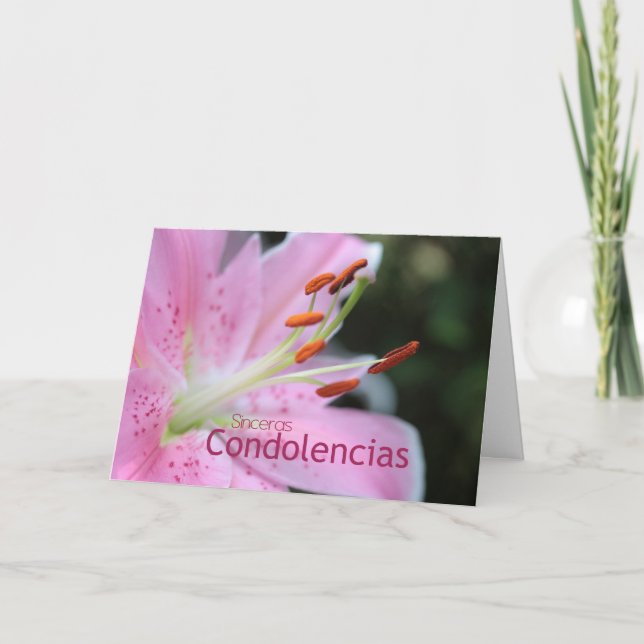 Carte Sympathie espagnole Tigre rose Lily (Devant)