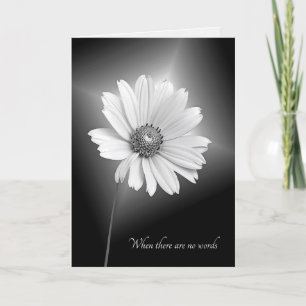 Carte sympathie fleur cosmos blanc