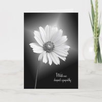 sympathie fleur cosmos blanc