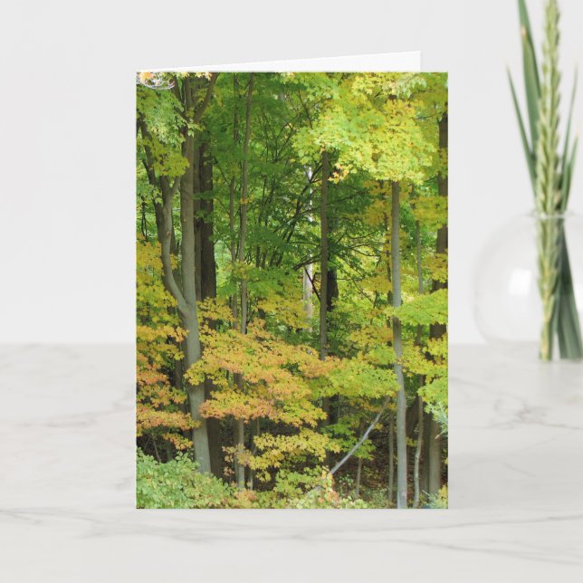 Carte Sympathie - Forêt calme (Devant)