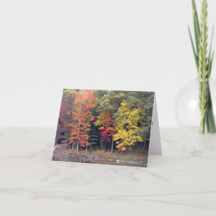 Carte Sympathie - Les arbres d'automne et le lac