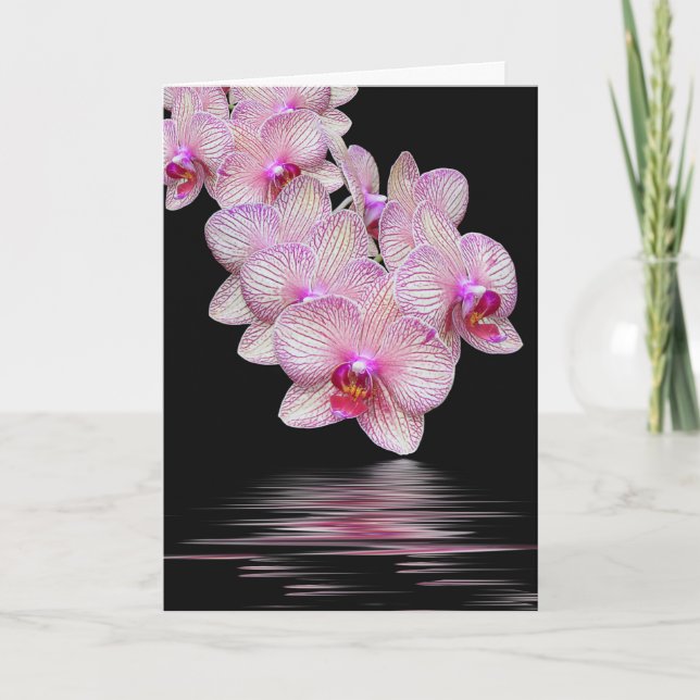 Carte Sympathie Orchidées rose Noir Réflexion (Devant)