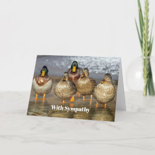 Carte Sympathie photo avec les canards colverts