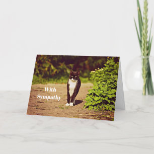 Carte Sympathie photo chat en noir et blanc