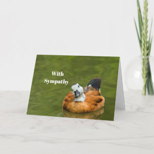 Carte Sympathie photo de canard coloré mignon