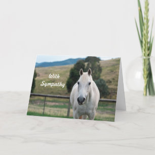 Carte Sympathie photo de l'appaloosa du beau cheval blan