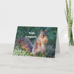 Carte Sympathie photo d'écureuil mignon