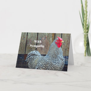 Carte Sympathie photo du coq noir et blanc poulet